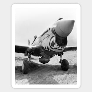 Flying Tigers P-40 Warhawk, 1941. Vintage Photo Magnet